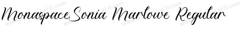MonaspaceSonia Marlowe Regular字体转换